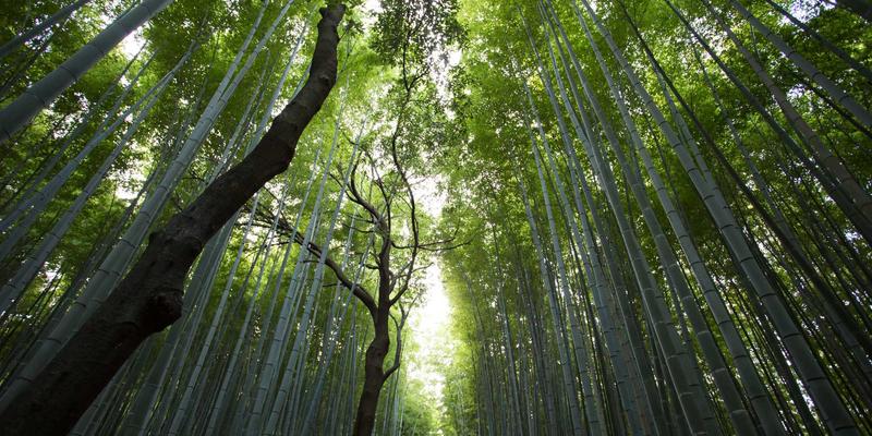 郑州开锁师傅资质查询与技能认证全解析：配汽车钥匙、安防产品、换锁芯如何避坑？